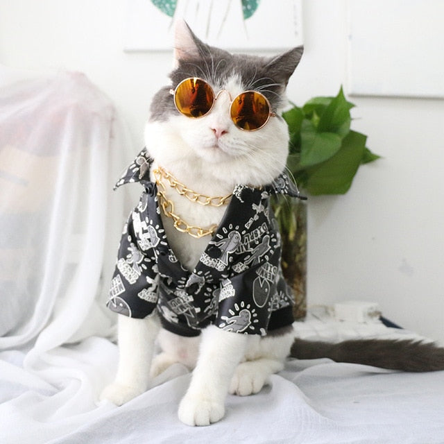 Pet Sunglasses Dog Eye-wear Cat Glasses Little Dog Glasses Photos Props Dog Cat Accessories Pet Supplies For Small Dogs Products